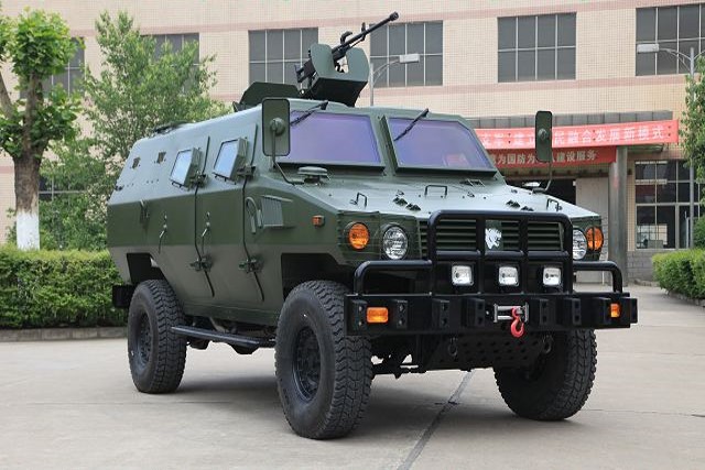 tiger type 2065